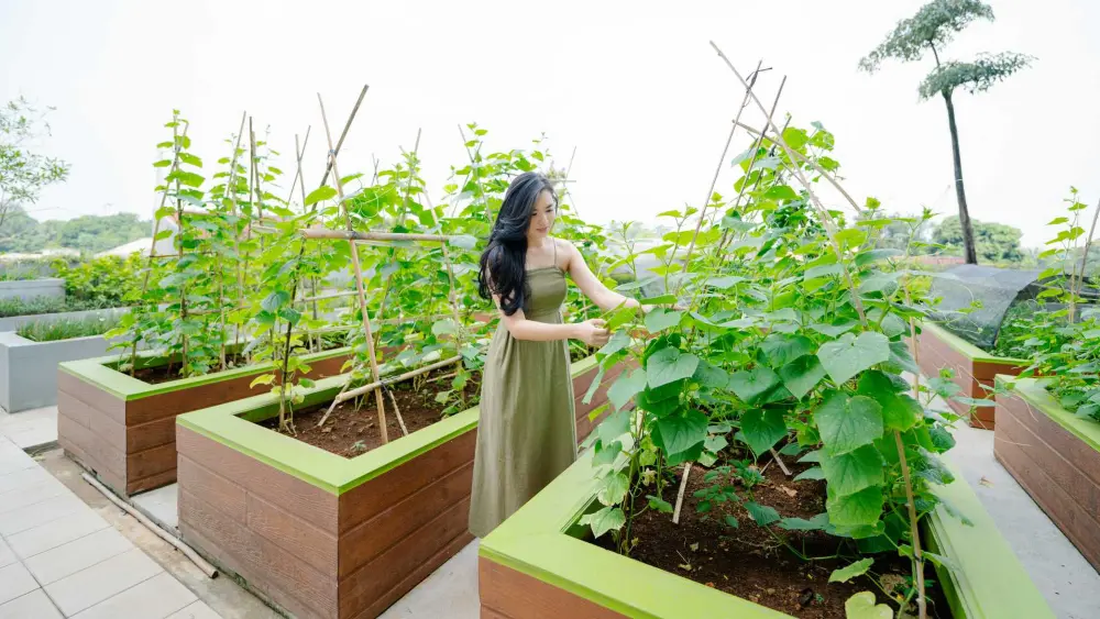 Nursery Garden Apartemen Akasa Pure Living